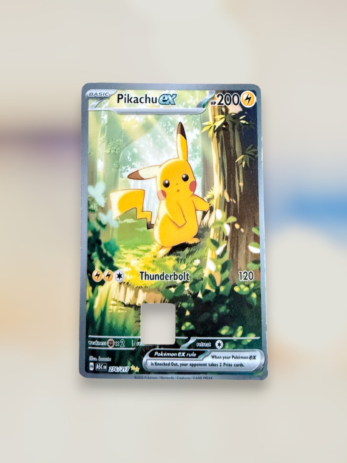 Pokemon TCG Credit/Debit Card Skins