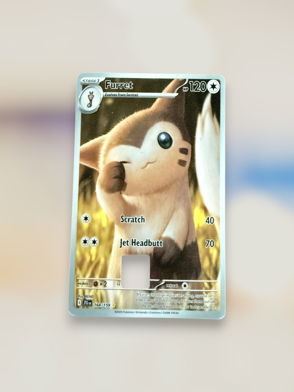 Pokemon TCG Credit/Debit Card Skins
